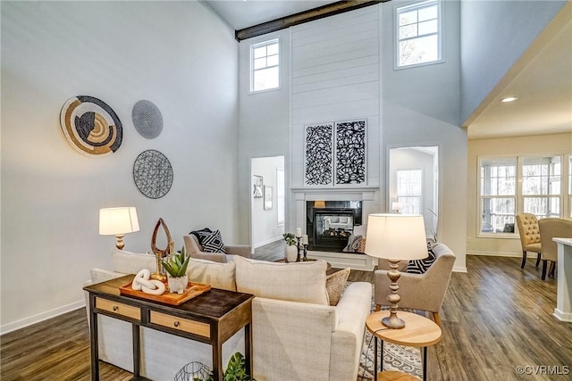 living room with a high ceiling and dark hardwood / wood-style flooring