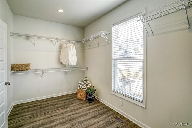 walk in closet with dark wood-type flooring