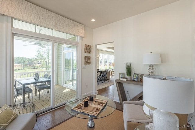 living room featuring ceiling fan and hardwood / wood-style floors