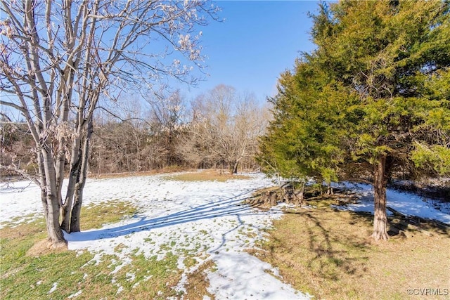 view of snowy yard