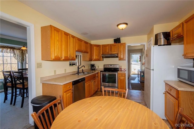 kitchen featuring sink, stainless steel appliances, a wealth of natural light, and dark carpet