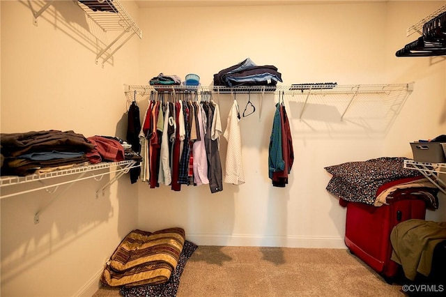 spacious closet with carpet floors