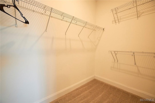 spacious closet with carpet