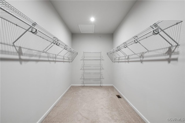 walk in closet featuring carpet