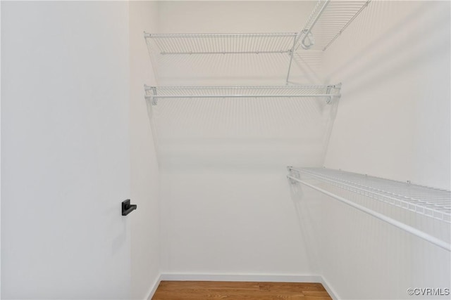 spacious closet featuring hardwood / wood-style flooring