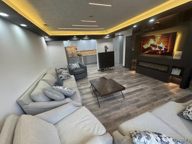 cinema featuring dark hardwood / wood-style floors and a tray ceiling