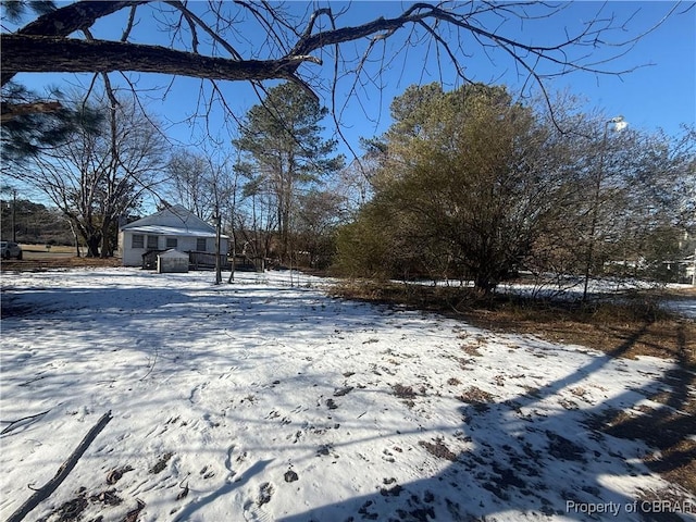 view of yard covered in snow