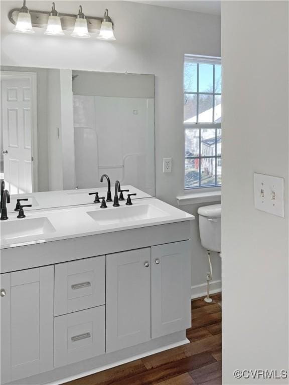 bathroom with vanity and hardwood / wood-style flooring