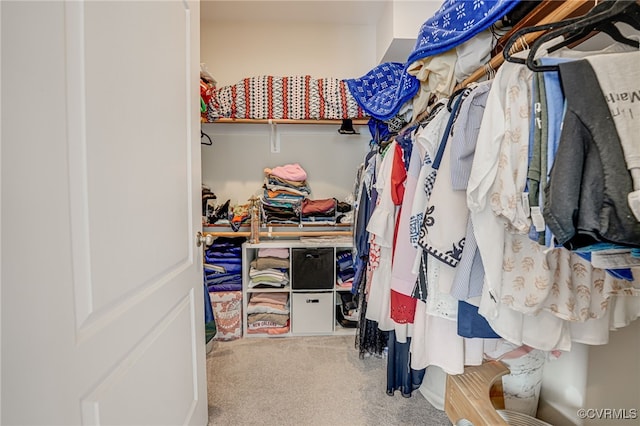 walk in closet with carpet flooring