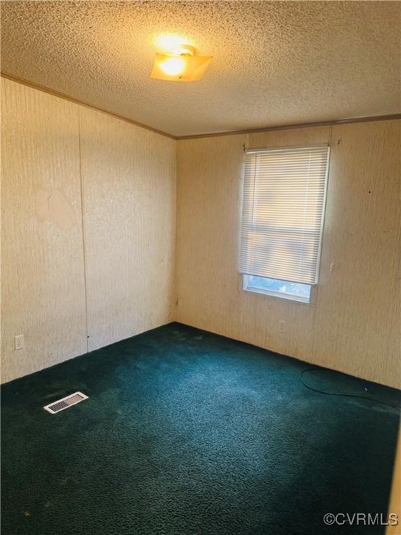 271 Walnut Hill Rd, Crewe, VA 23930 - carpeted spare room with a textured ceiling