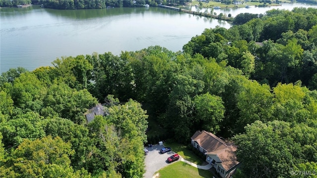 bird's eye view with a view of trees and a water view