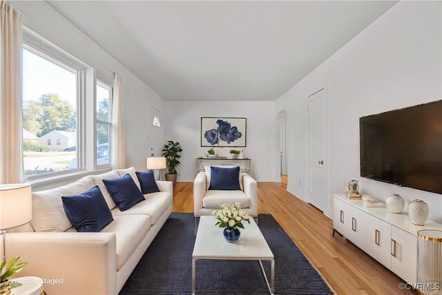 living room with light wood-type flooring