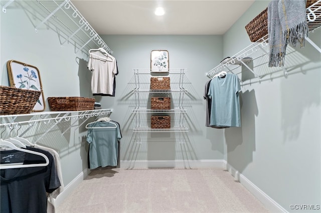 walk in closet featuring carpet flooring