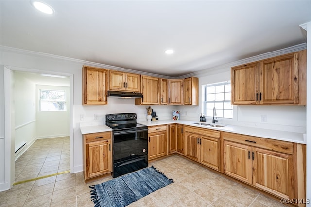 kitchen featuring a healthy amount of sunlight, black electric range, sink, and ornamental molding