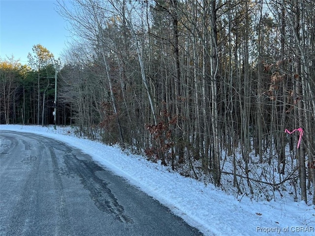 692 Mckans Rd, Laneview, VA 22504 - photo 13