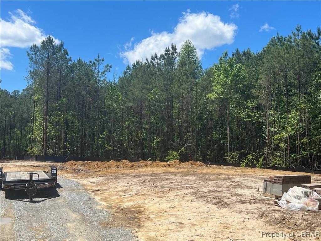 view of yard with a wooded view