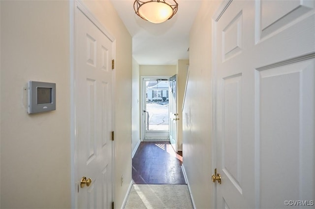 doorway to outside with carpet flooring