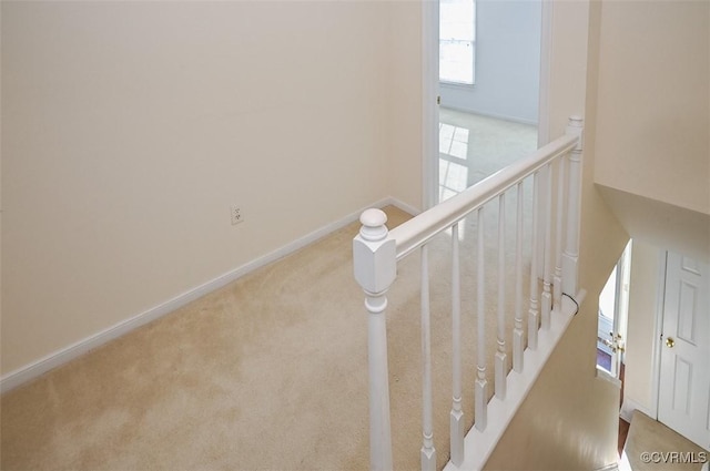 stairs featuring carpet flooring