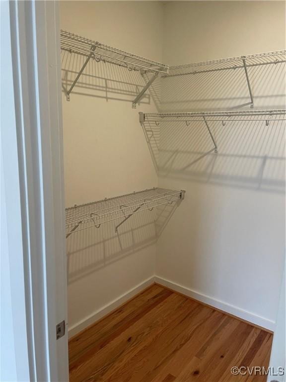 walk in closet featuring wood-type flooring