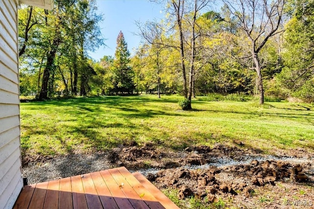 view of yard featuring a deck