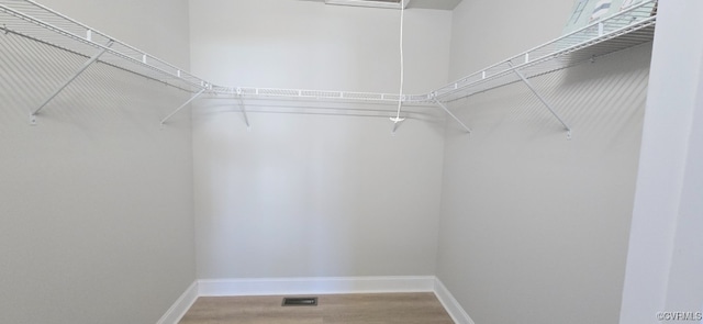 spacious closet with wood-type flooring