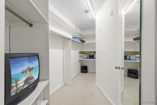 spacious closet with light carpet