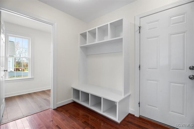 mudroom featuring dark hardwood / wood-style flooring