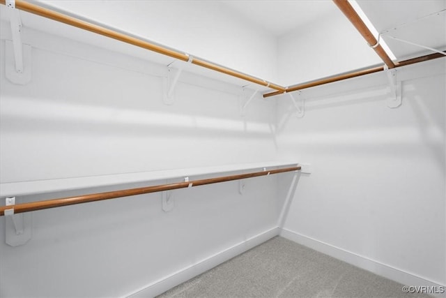 spacious closet with carpet