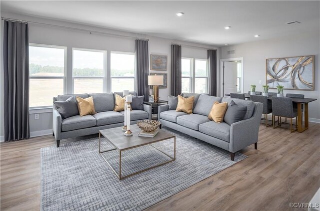 living room with light hardwood / wood-style floors