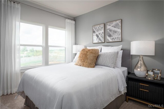 carpeted bedroom with multiple windows