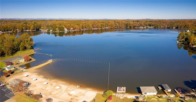 birds eye view of property featuring a water view and a forest view