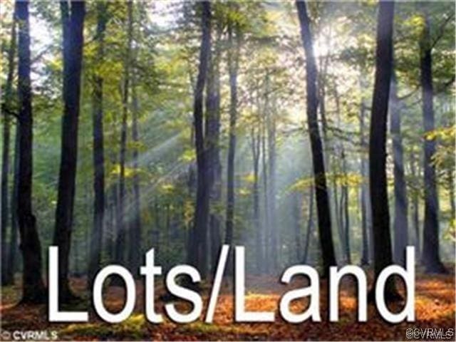 00 Lewis Moore Rd, Ashland VA, 22546 land for sale