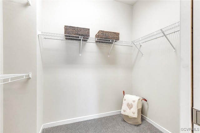 spacious closet with carpet flooring