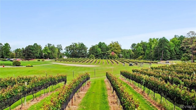 view of home's community with a lawn