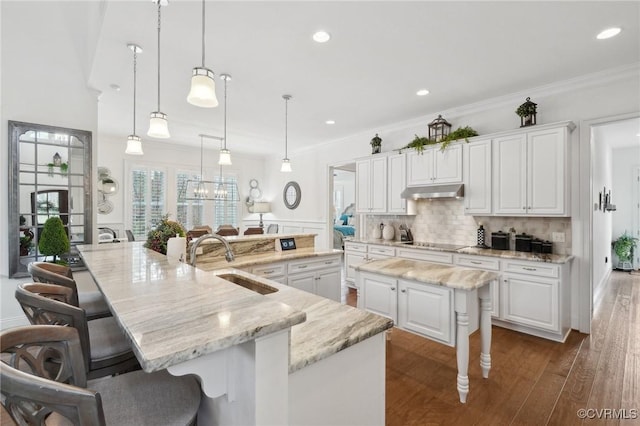 kitchen featuring a large island, sink, a breakfast bar area, white cabinetry, and decorative backsplash