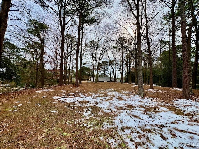 view of snowy landscape