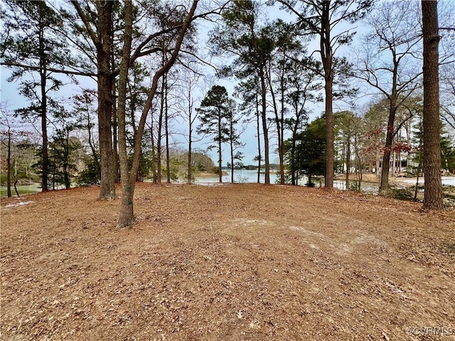 view of yard featuring a water view