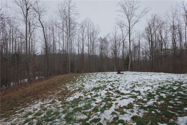 view of yard covered in snow