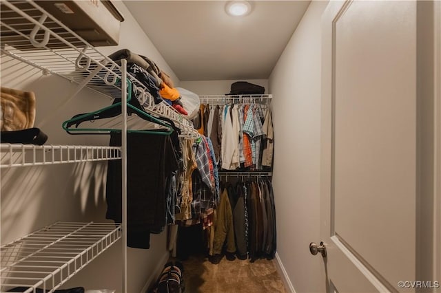 walk in closet featuring carpet flooring