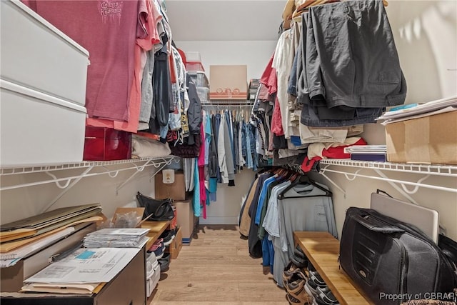 walk in closet with light hardwood / wood-style flooring