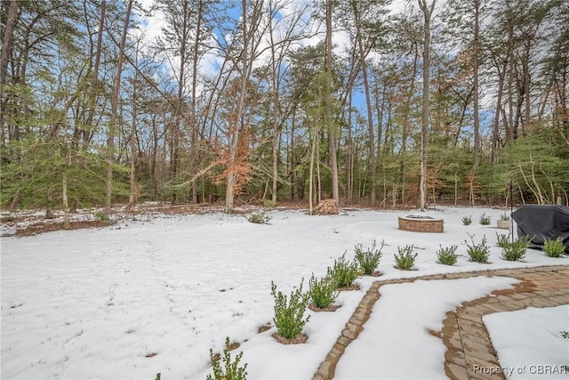 view of yard covered in snow