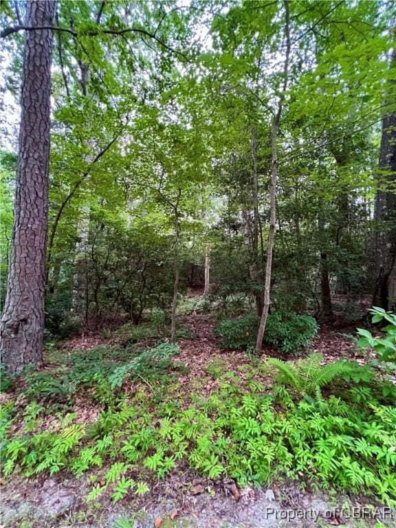 Listing photo 2 for 1.048AC Lonesome Pine Trl, Lancaster VA 22503