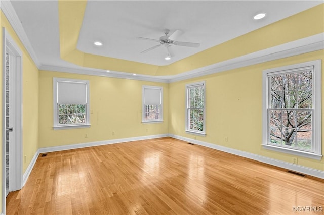 spare room featuring a raised ceiling, a healthy amount of sunlight, ceiling fan, and light hardwood / wood-style flooring