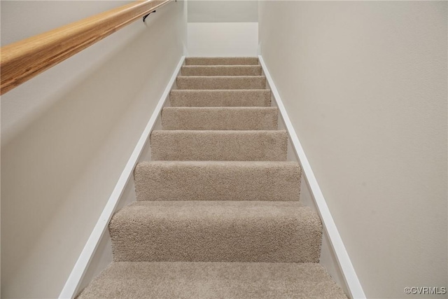 stairs featuring carpet floors