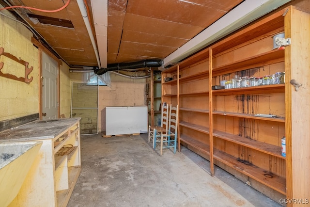 basement with fridge