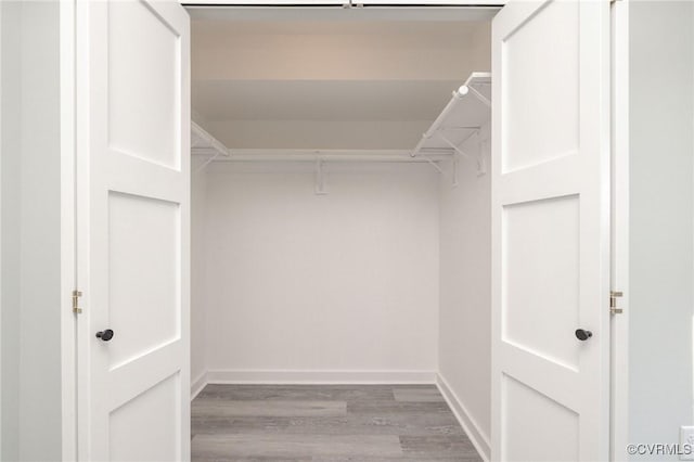 walk in closet with wood-type flooring