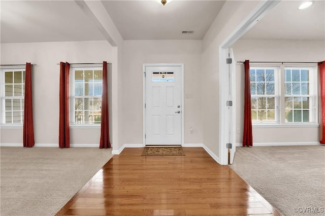 carpeted foyer entrance featuring plenty of natural light