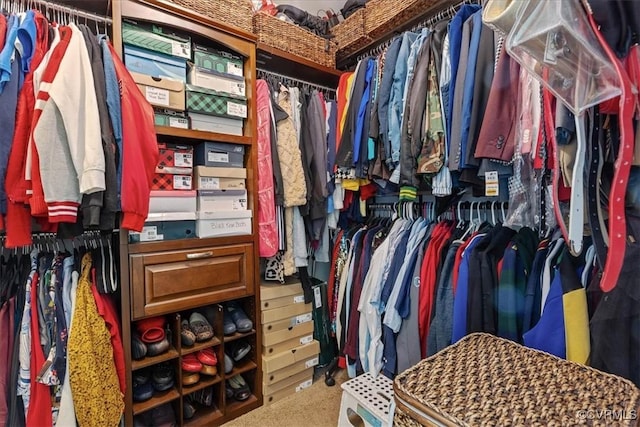 walk in closet featuring carpet flooring