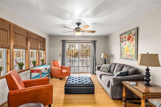 living room with ceiling fan and light hardwood / wood-style flooring