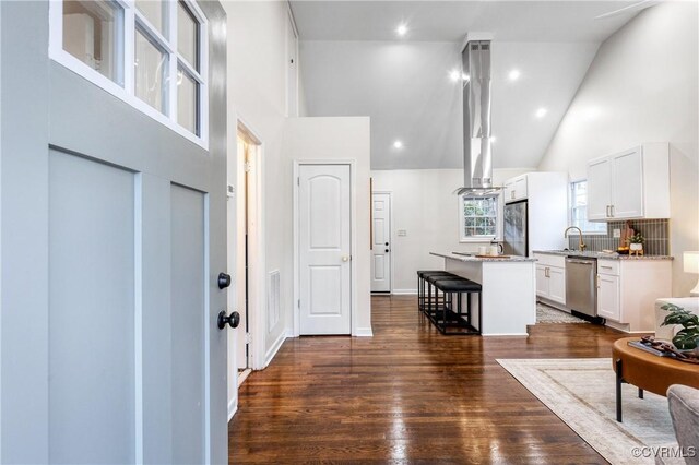 interior space featuring high vaulted ceiling, dark hardwood / wood-style floors, and sink